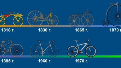 Photo of Истоки и первые этапы развития розовых велосипедов